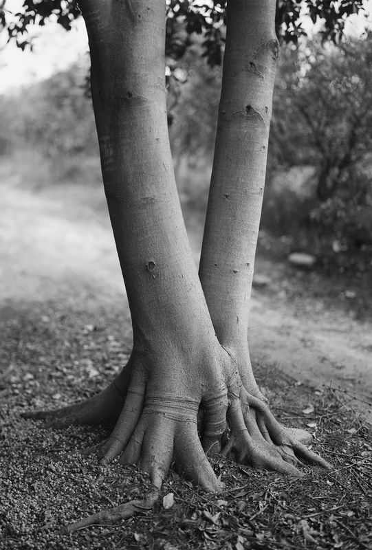 גלעד בר שלו ללא כותרת 2021 צילום גלעד בר שלו