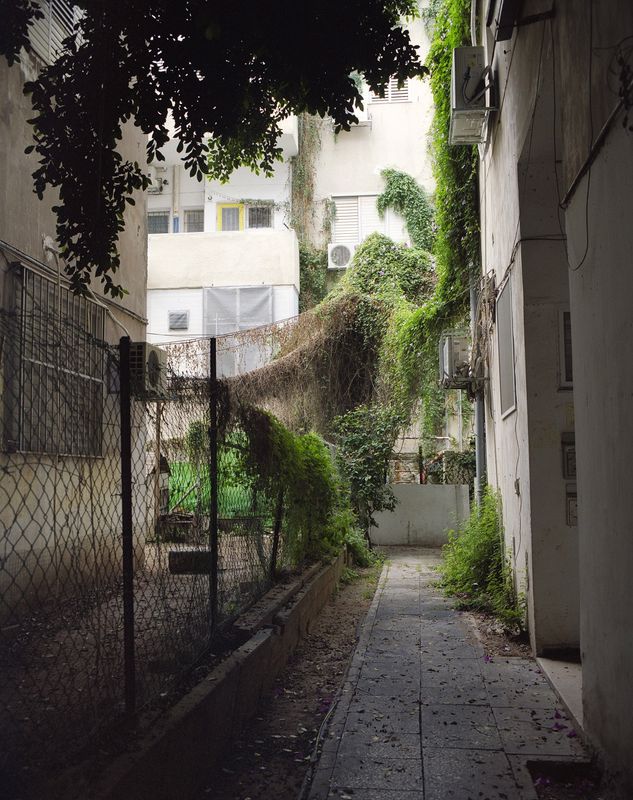 יובל חי ללא כותרת 2019 . יובל חי