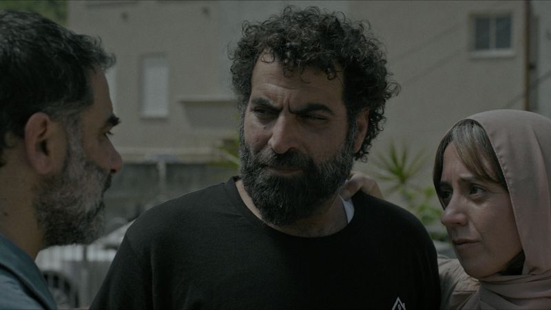 אמל. עמית יסעור